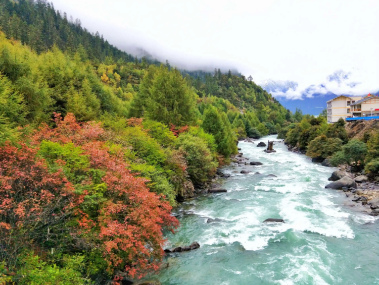 懂西藏的人，一定不會(huì)錯(cuò)過林芝的秋天