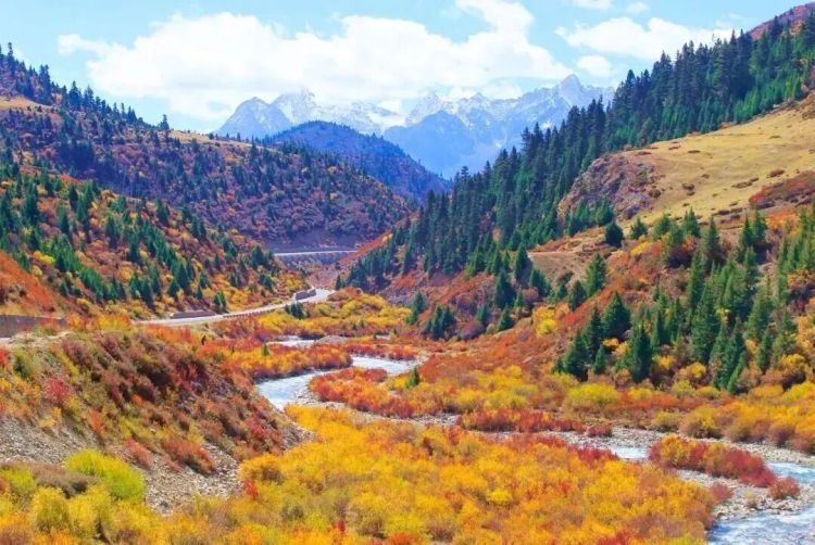 懂西藏的人，一定不會(huì)錯(cuò)過林芝的秋天