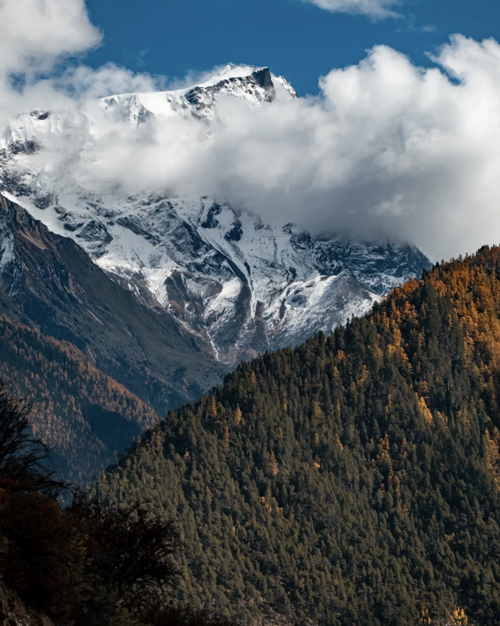 懂西藏的人，一定不會(huì)錯(cuò)過林芝的秋天