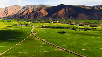 青稞“蛻變”，牦?！俺鋈Α保】次鞑剞r(nóng)牧民的“十四五”豐收答卷