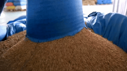 青稞“蛻變”，牦牛“出圈”！看西藏農(nóng)牧民的“十四五”豐收答卷