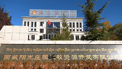 青稞“蛻變”，牦?！俺鋈Α?！看西藏農(nóng)牧民的“十四五”豐收答卷