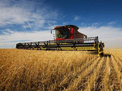 【光明網(wǎng)專論】秦富：鄉(xiāng)村振興亟需培育農村發(fā)展新動能