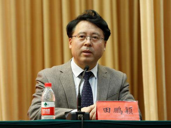 田鵬穎：投入其中、樂在其中、安身其中