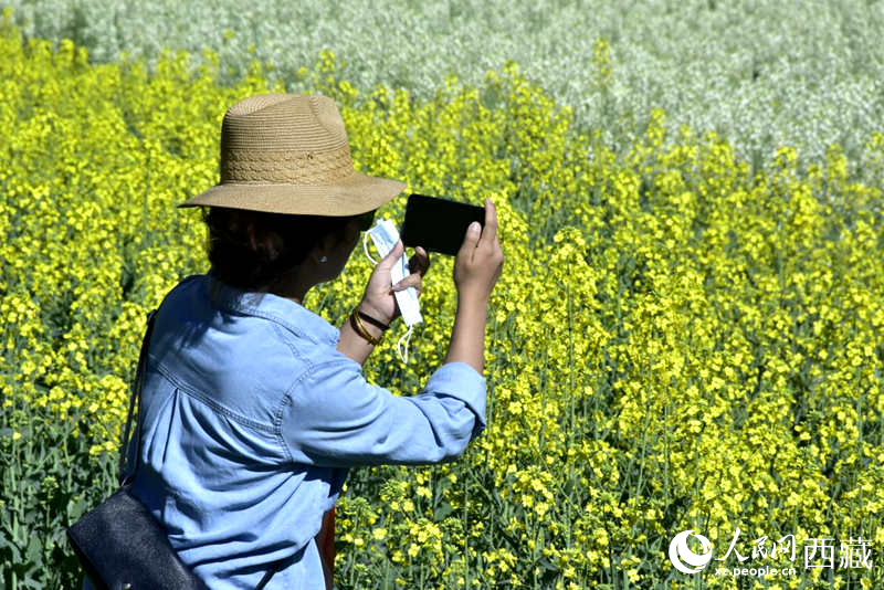 大片油菜花吸引游客到來(lái)。人民網(wǎng) 李海霞攝