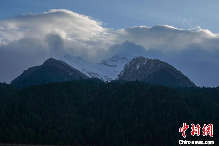 西藏波密縣的原始森林與雪山風(fēng)光?！〗w波 攝