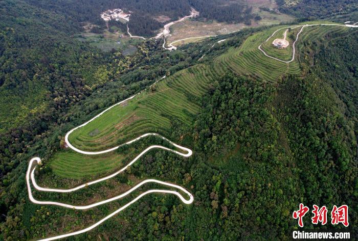 圖為西藏林芝市墨脫縣背崩鄉(xiāng)格林村山頂?shù)木坝^茶園。(無人機照片) 李林 攝