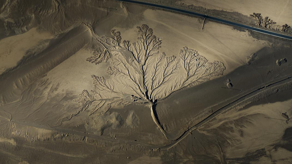 無人機(jī)視角下的西藏阿里地區(qū)改則縣“大地之樹”景觀。尼瑪多吉攝