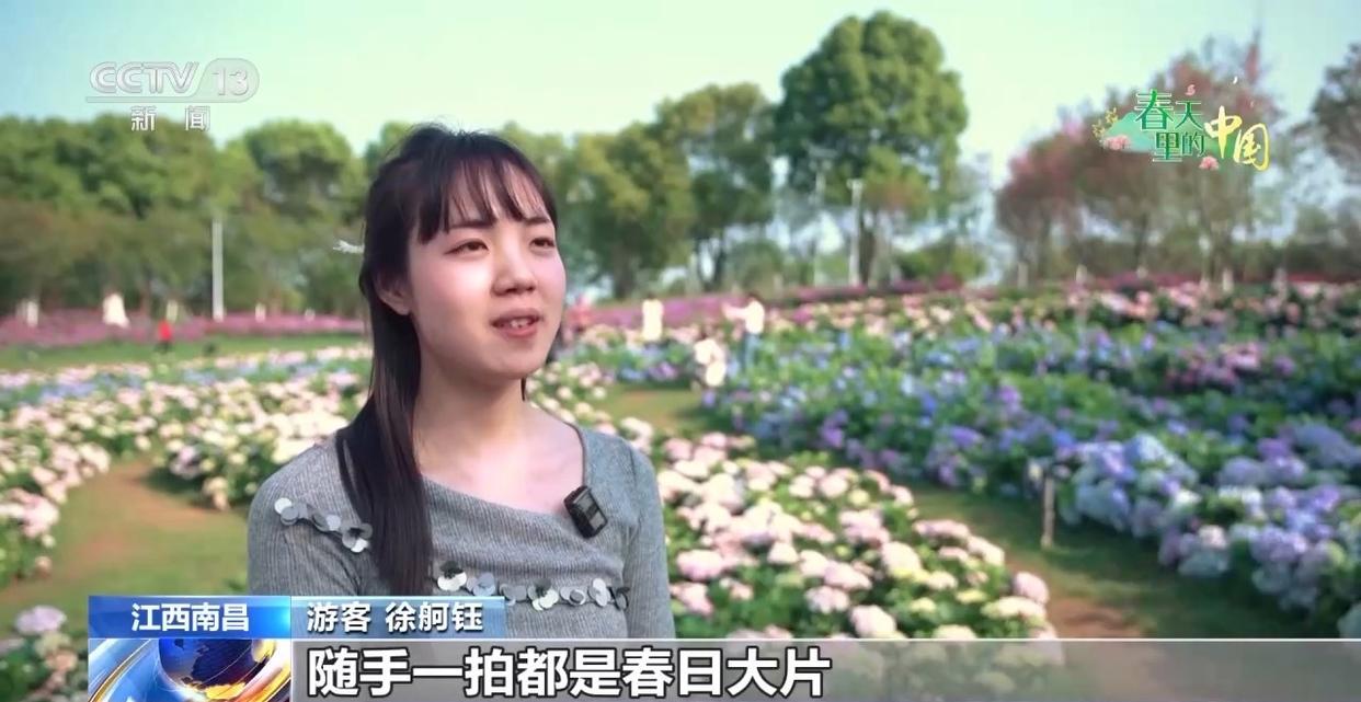 W020260405555462646983.jpg