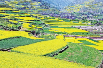 甘肅：譜寫(xiě)富民興隴時(shí)代篇章