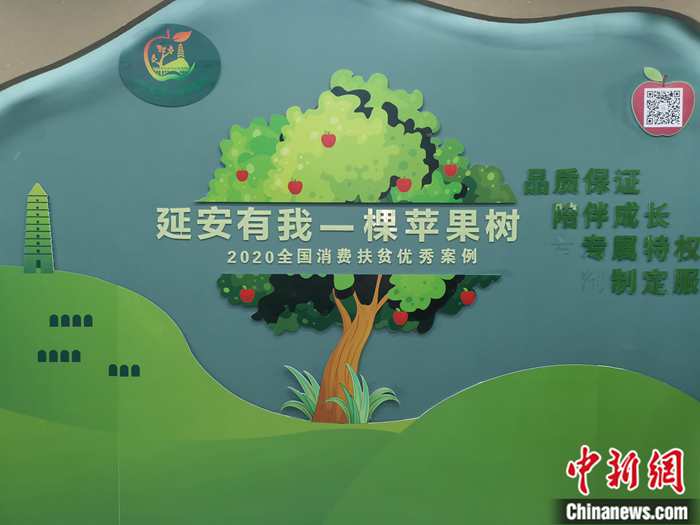 “延安有我一棵蘋果樹”。<a target='_blank'  ><p  align=