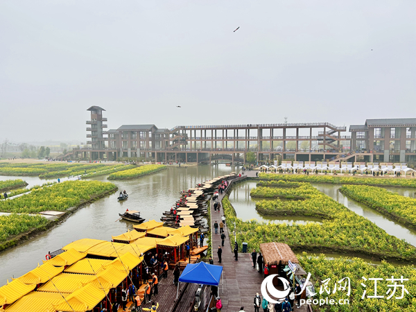 興化千垛菜花旅游節(jié)期間，游客前來(lái)打卡。人民網(wǎng) 王丹丹攝